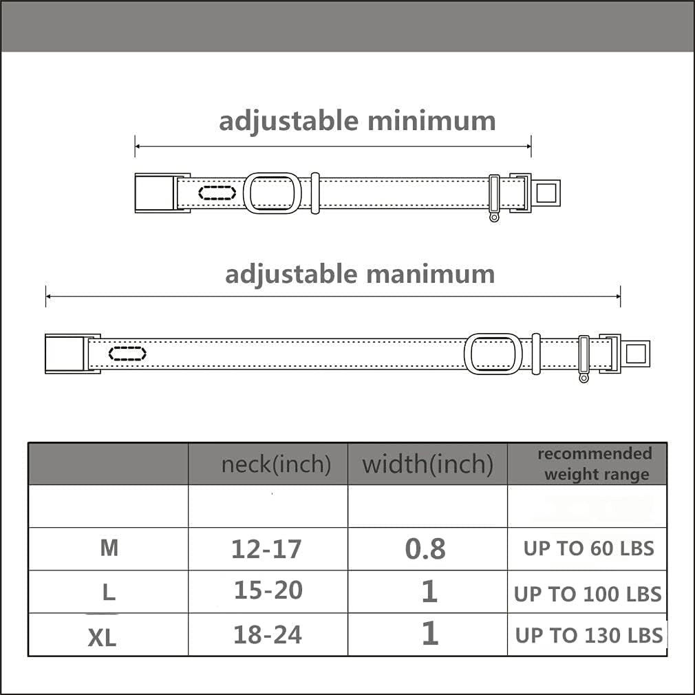 Luxury Adjustable Heavy Duty Nylon Dog Collar with Seatbelt Metal Buckle - Perfect for Medium to Large Pets