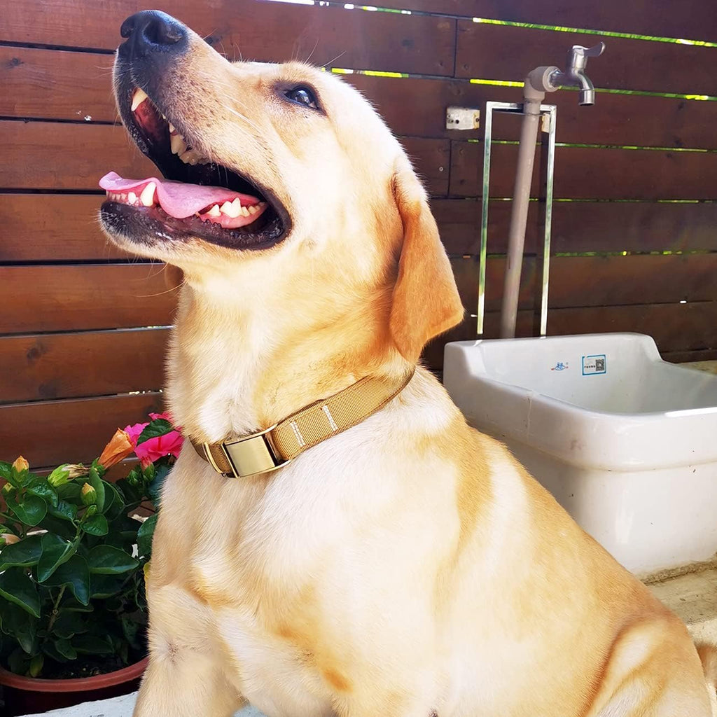 Luxury Adjustable Heavy Duty Nylon Dog Collar with Seatbelt Metal Buckle - Perfect for Medium to Large Pets