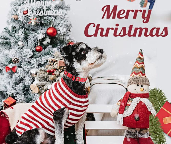 Jolly Jingle Dog Collar