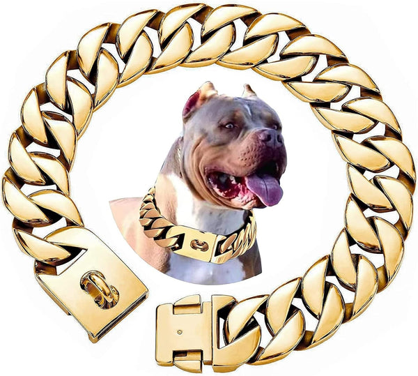 Gold Cuban Dog Collar